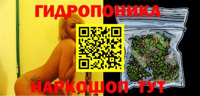 прущие грибы Партизанск