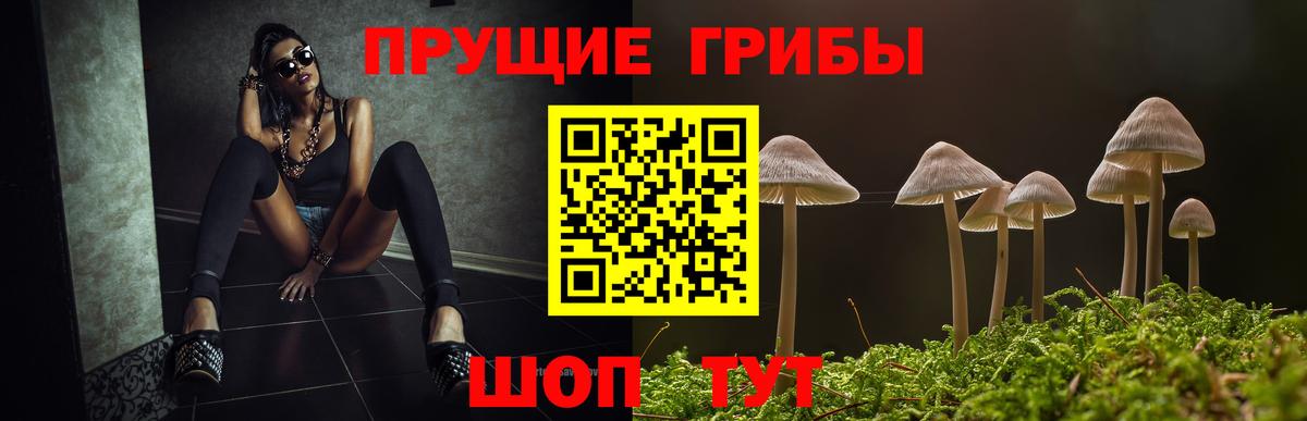 Псилоцибиновые грибы ЛСД  Вход с VPN  Алатырь 